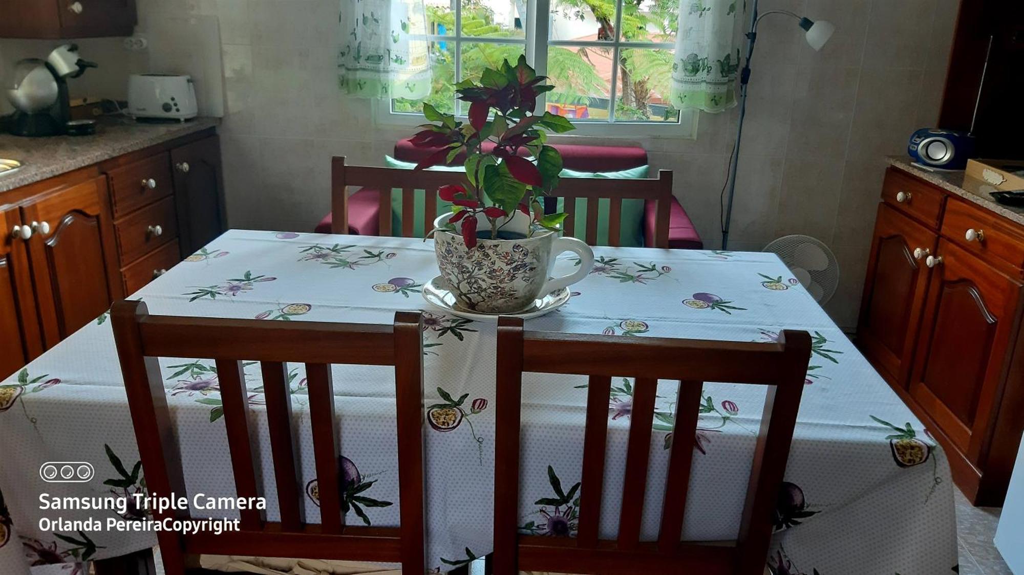Terra Cha Cottage,Feel Home, São Vicente Dış mekan fotoğraf