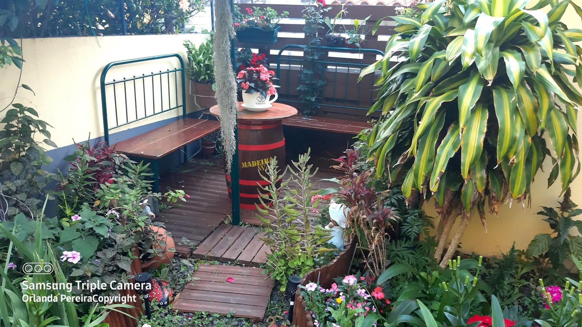 Terra Cha Cottage,Feel Home, São Vicente Dış mekan fotoğraf