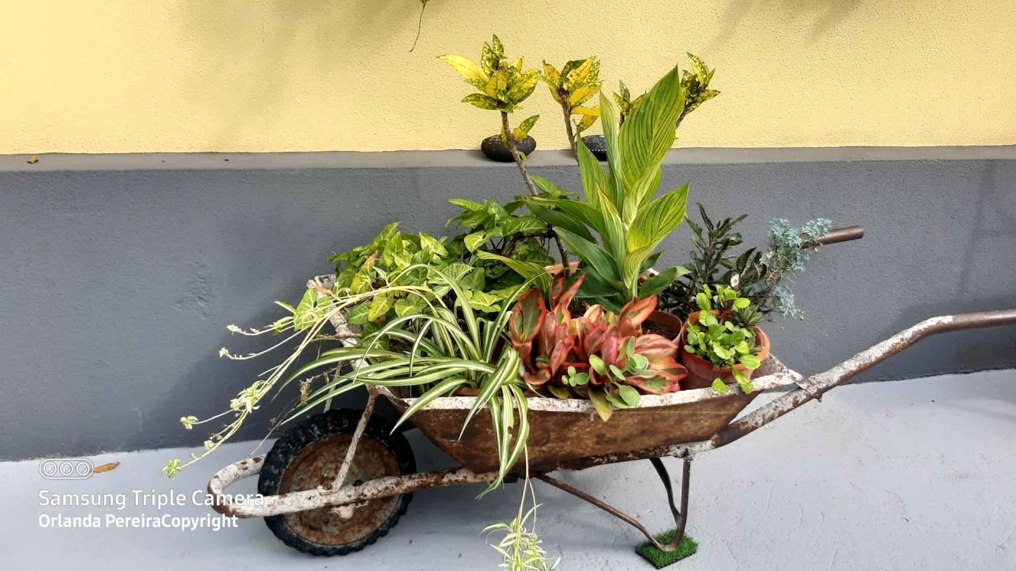 Terra Cha Cottage,Feel Home, São Vicente Dış mekan fotoğraf